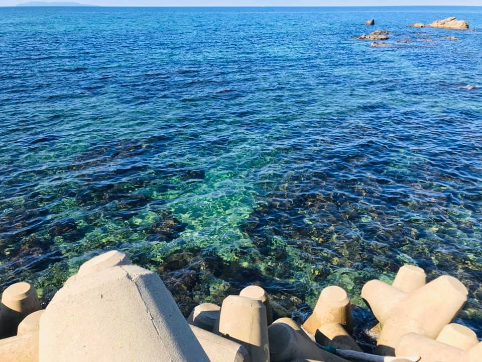 White Diamond - Echigo Murakami Perfectly Balanced Mineral Salt by Mineral Kobo 3.5oz/100g