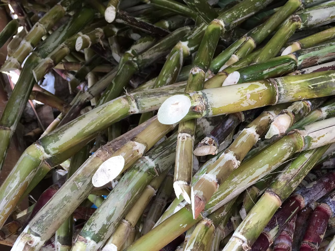 Pure Kokuto – Rare Limited-Edition Black Sugar from Thick-Stalk Sugarcane by Taikei Seito 4.5 oz/130g