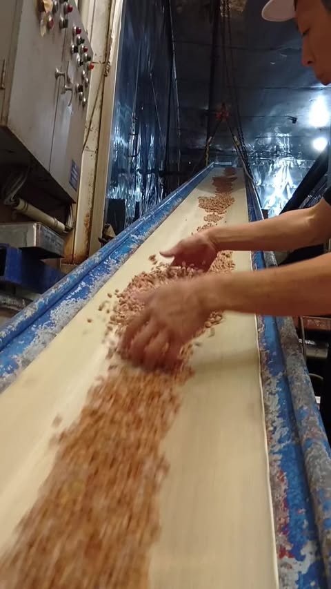 Wooden-Barrel Brewed Tamari Soy Sause – Made with Local Soybeans, Naturally Fermented for a Bright Color and Smooth Texture 6.8oz/200ml