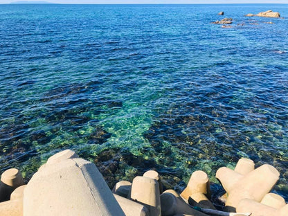 Echigokonjiki - Echigo Murakami Deep, Full-bodied Flavor Salt by Mineral Kobo 2.8oz/80g